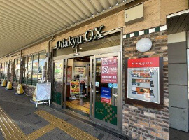 [スーパー]OdakyuOX南林間店まで411m（徒歩6分）