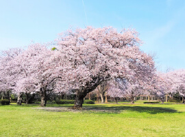 [公園・運動公園]大庭城址公園まで450m(徒歩6分)